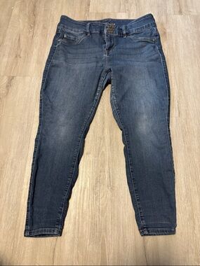 torrid Dark Indigo Skinny Jeans